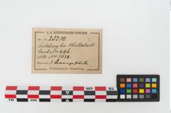 Etiketten zu Bronzesitula (NHMW-PRAE-025210)